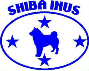 shibastar2.jpg