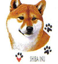shibafeetA.JPG